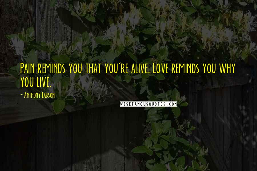 Anthony Labson Quotes: Pain reminds you that you're alive. Love reminds you why you live.
