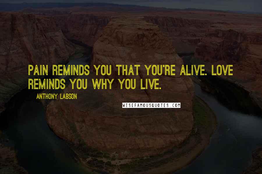 Anthony Labson Quotes: Pain reminds you that you're alive. Love reminds you why you live.