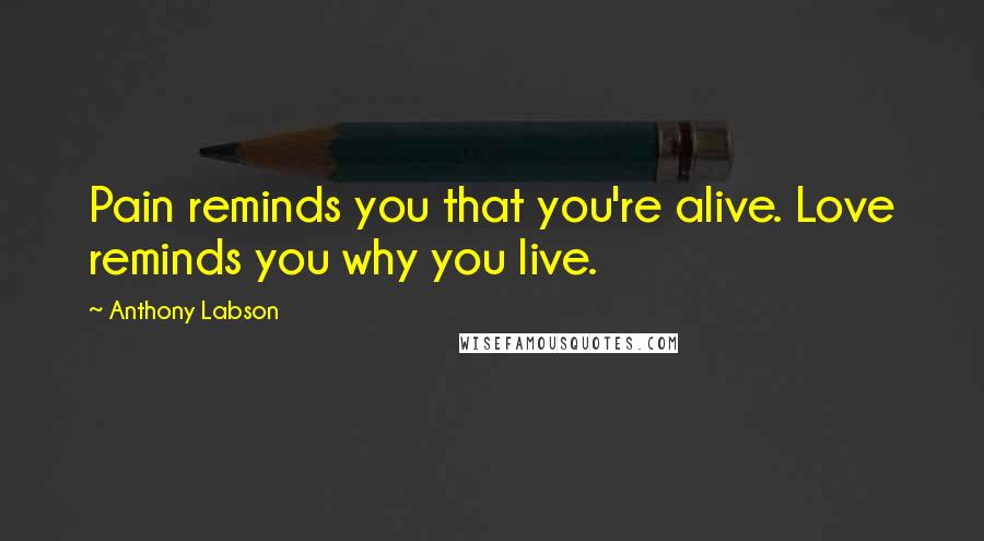 Anthony Labson Quotes: Pain reminds you that you're alive. Love reminds you why you live.