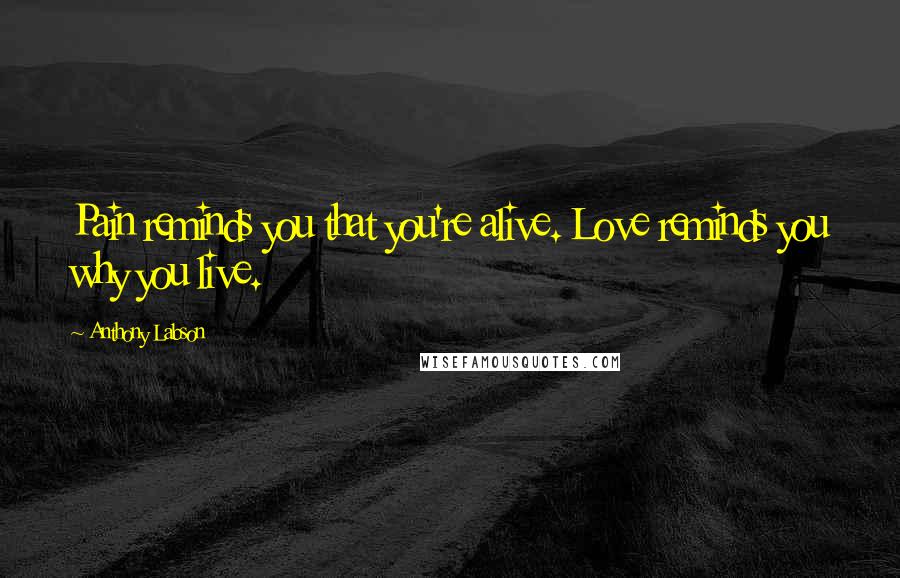 Anthony Labson Quotes: Pain reminds you that you're alive. Love reminds you why you live.
