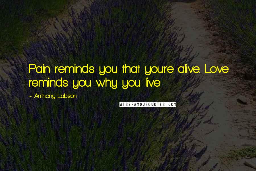 Anthony Labson Quotes: Pain reminds you that you're alive. Love reminds you why you live.