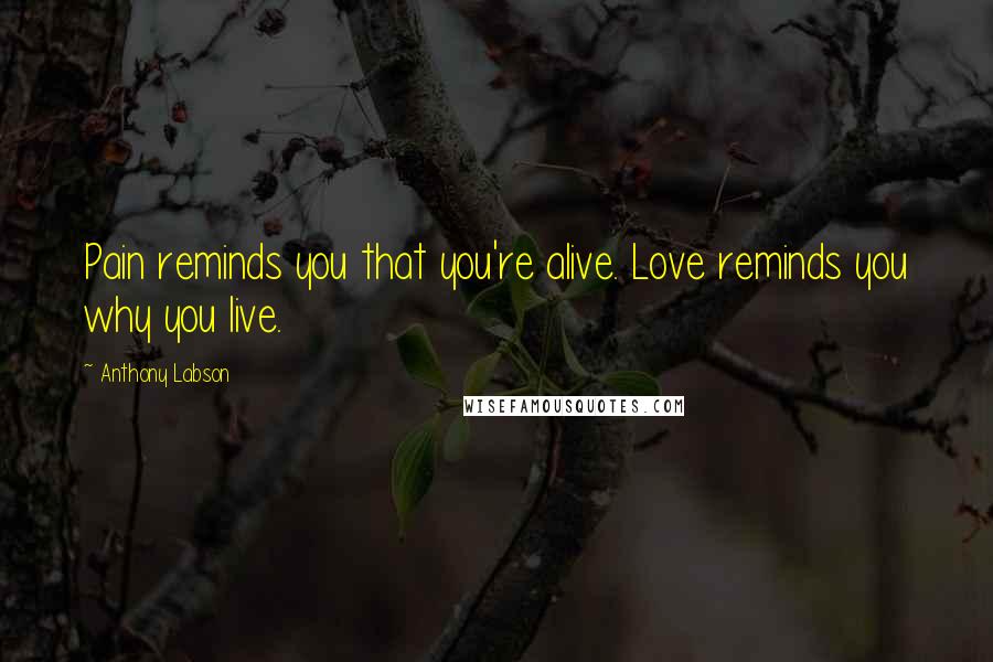 Anthony Labson Quotes: Pain reminds you that you're alive. Love reminds you why you live.