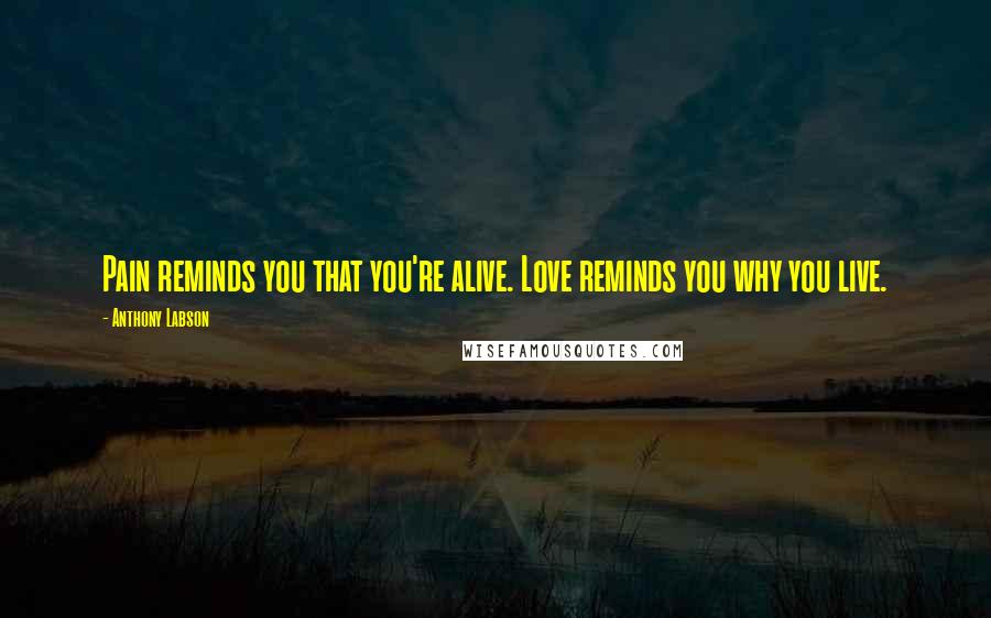 Anthony Labson Quotes: Pain reminds you that you're alive. Love reminds you why you live.