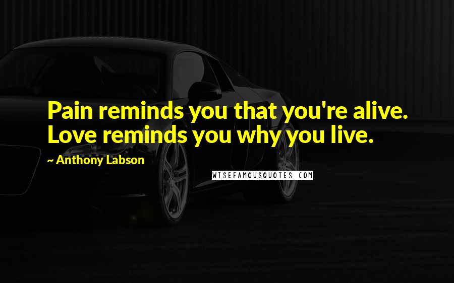 Anthony Labson Quotes: Pain reminds you that you're alive. Love reminds you why you live.