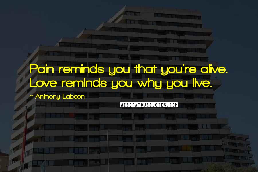 Anthony Labson Quotes: Pain reminds you that you're alive. Love reminds you why you live.