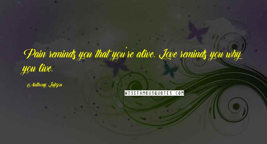 Anthony Labson Quotes: Pain reminds you that you're alive. Love reminds you why you live.