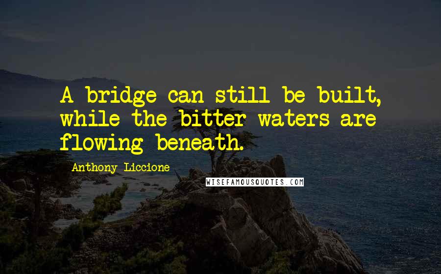 Anthony Liccione Quotes: A bridge can still be built, while the bitter waters are flowing beneath.