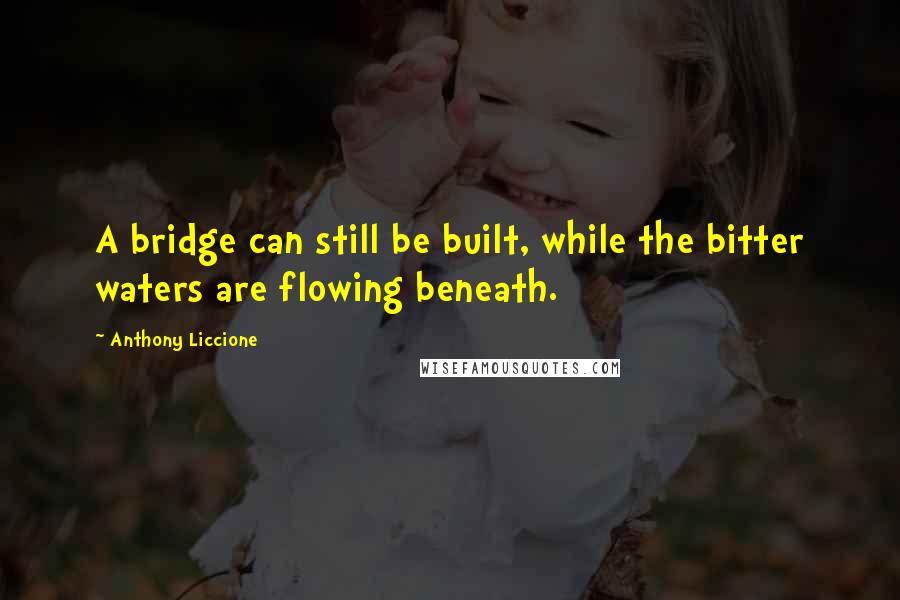 Anthony Liccione Quotes: A bridge can still be built, while the bitter waters are flowing beneath.