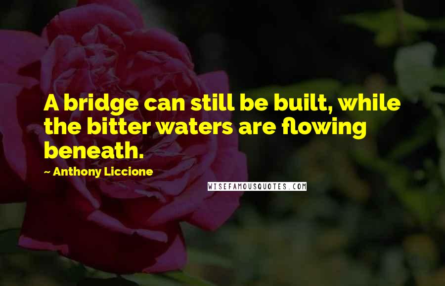 Anthony Liccione Quotes: A bridge can still be built, while the bitter waters are flowing beneath.