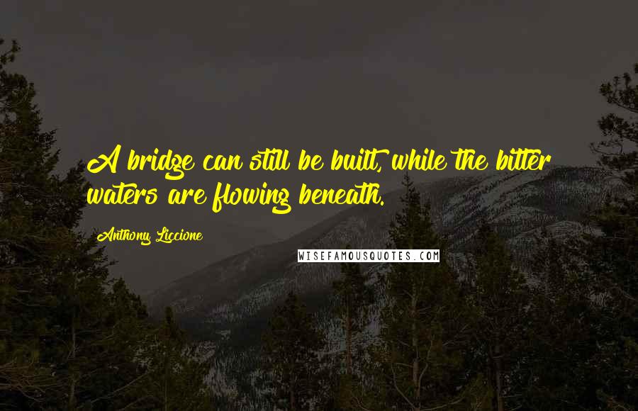 Anthony Liccione Quotes: A bridge can still be built, while the bitter waters are flowing beneath.