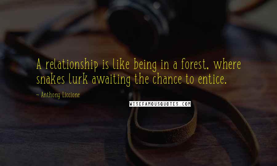 Anthony Liccione Quotes: A relationship is like being in a forest, where snakes lurk awaiting the chance to entice.