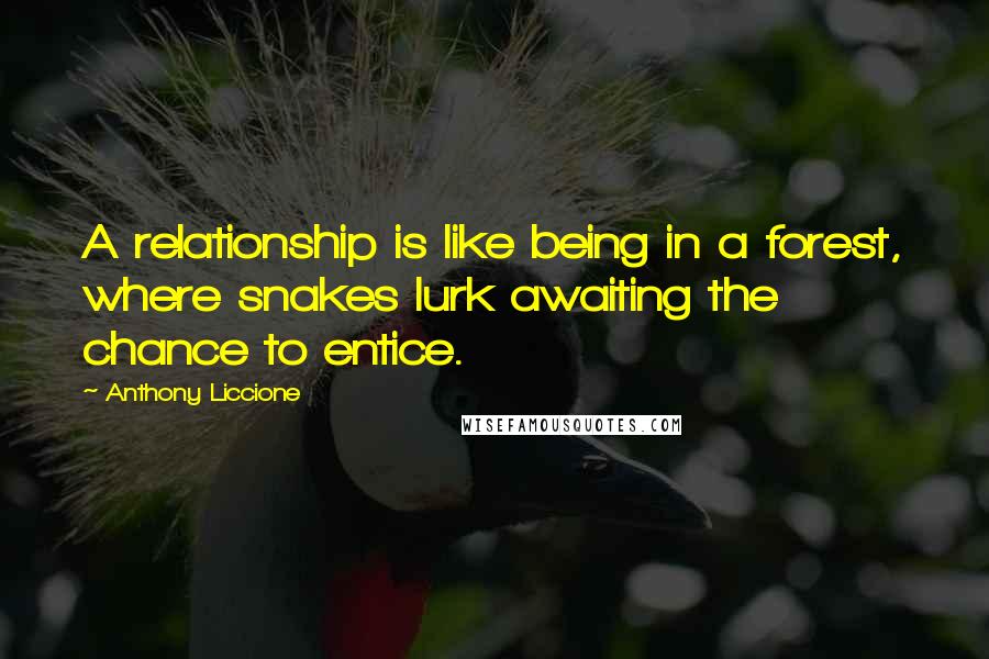 Anthony Liccione Quotes: A relationship is like being in a forest, where snakes lurk awaiting the chance to entice.