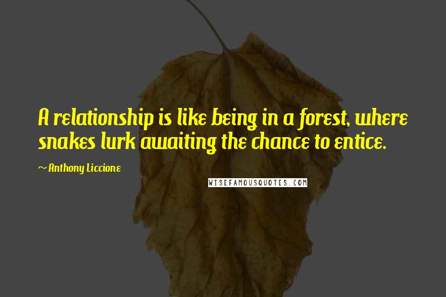 Anthony Liccione Quotes: A relationship is like being in a forest, where snakes lurk awaiting the chance to entice.