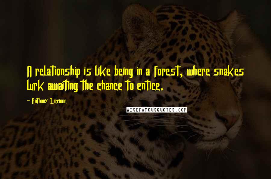 Anthony Liccione Quotes: A relationship is like being in a forest, where snakes lurk awaiting the chance to entice.