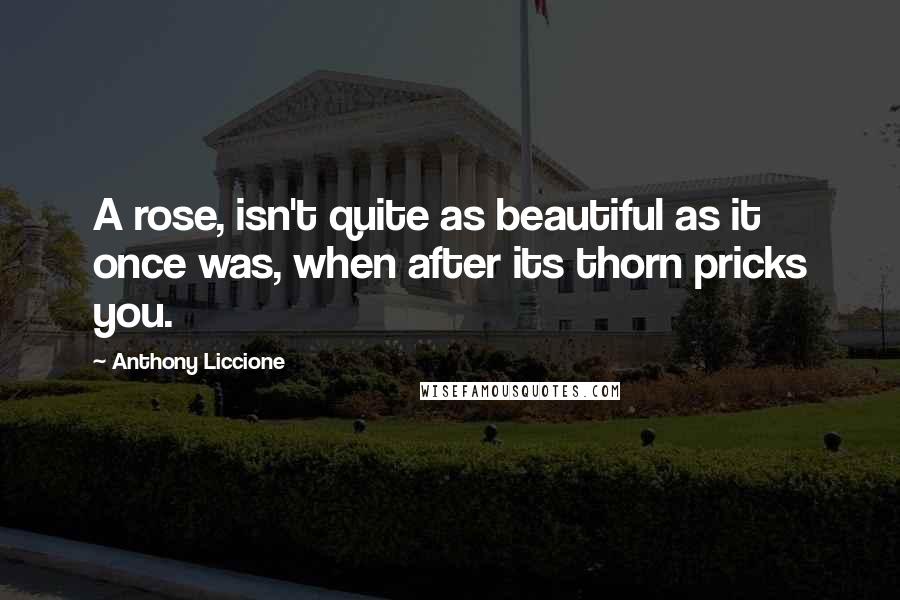 Anthony Liccione Quotes: A rose, isn't quite as beautiful as it once was, when after its thorn pricks you.