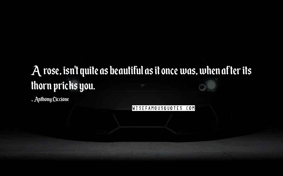 Anthony Liccione Quotes: A rose, isn't quite as beautiful as it once was, when after its thorn pricks you.