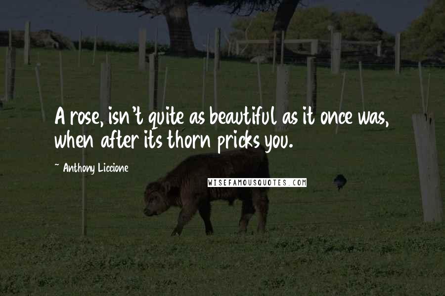 Anthony Liccione Quotes: A rose, isn't quite as beautiful as it once was, when after its thorn pricks you.