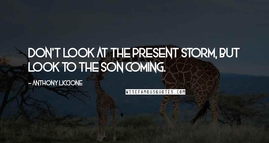 Anthony Liccione Quotes: Don't look at the present storm, but look to the Son coming.