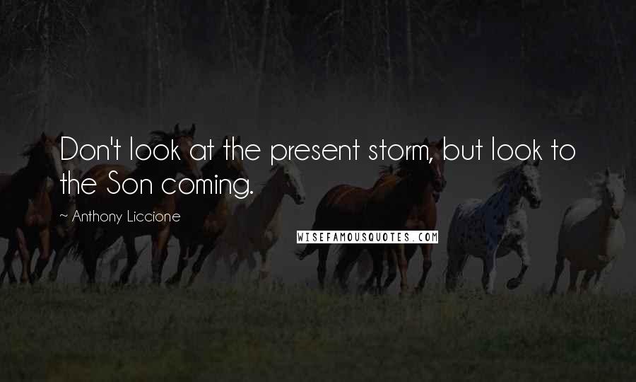 Anthony Liccione Quotes: Don't look at the present storm, but look to the Son coming.