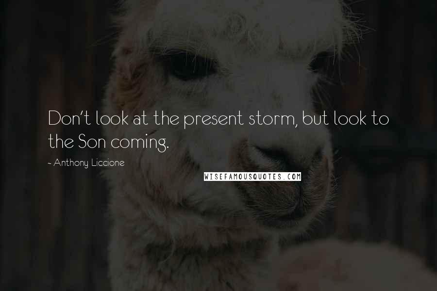 Anthony Liccione Quotes: Don't look at the present storm, but look to the Son coming.
