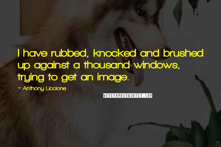Anthony Liccione Quotes: I have rubbed, knocked and brushed up against a thousand windows, trying to get an image.