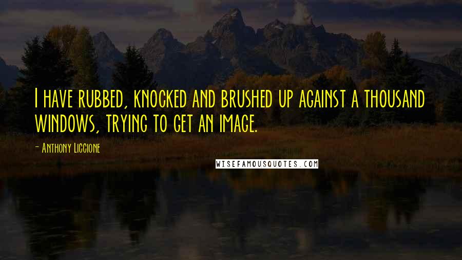 Anthony Liccione Quotes: I have rubbed, knocked and brushed up against a thousand windows, trying to get an image.