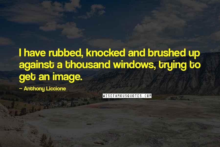 Anthony Liccione Quotes: I have rubbed, knocked and brushed up against a thousand windows, trying to get an image.