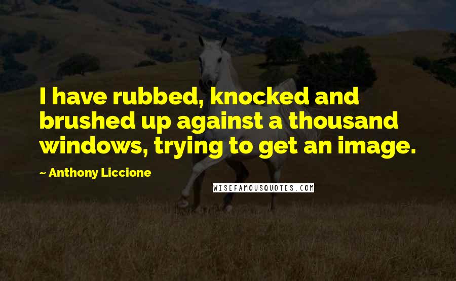 Anthony Liccione Quotes: I have rubbed, knocked and brushed up against a thousand windows, trying to get an image.