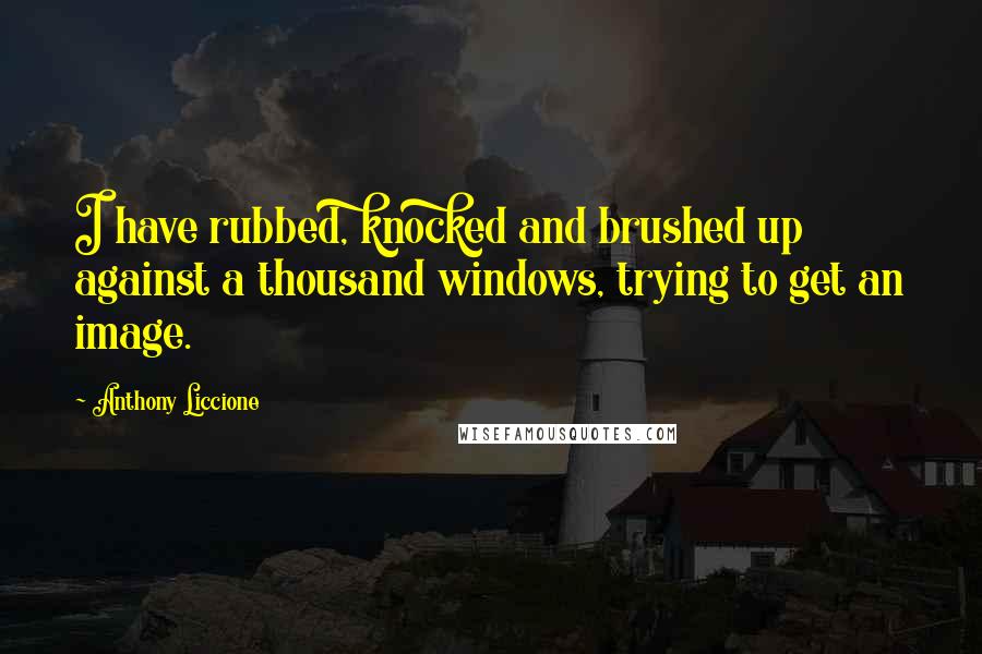 Anthony Liccione Quotes: I have rubbed, knocked and brushed up against a thousand windows, trying to get an image.