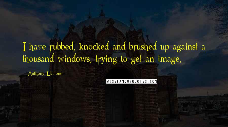 Anthony Liccione Quotes: I have rubbed, knocked and brushed up against a thousand windows, trying to get an image.