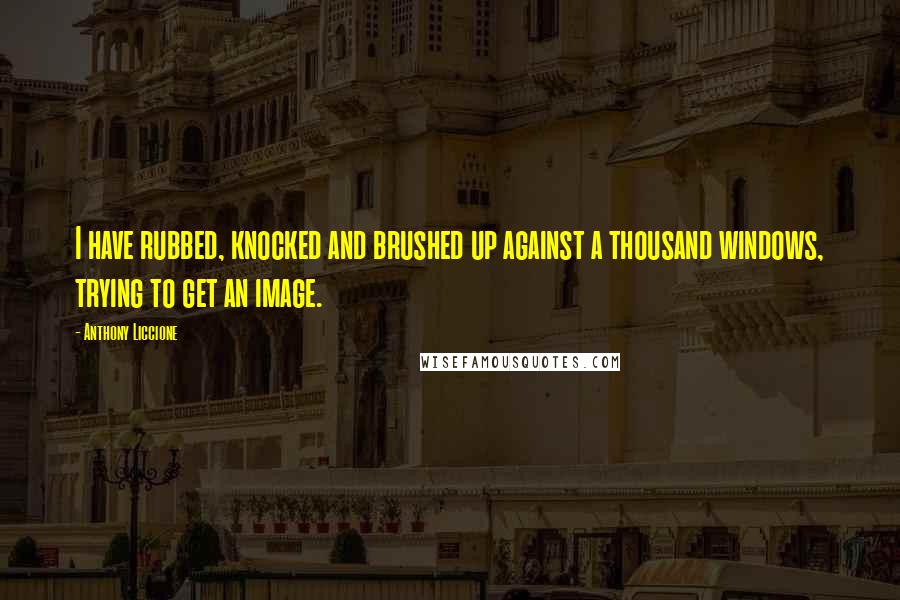 Anthony Liccione Quotes: I have rubbed, knocked and brushed up against a thousand windows, trying to get an image.