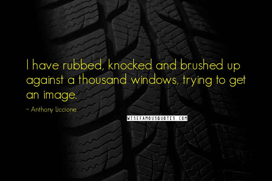 Anthony Liccione Quotes: I have rubbed, knocked and brushed up against a thousand windows, trying to get an image.