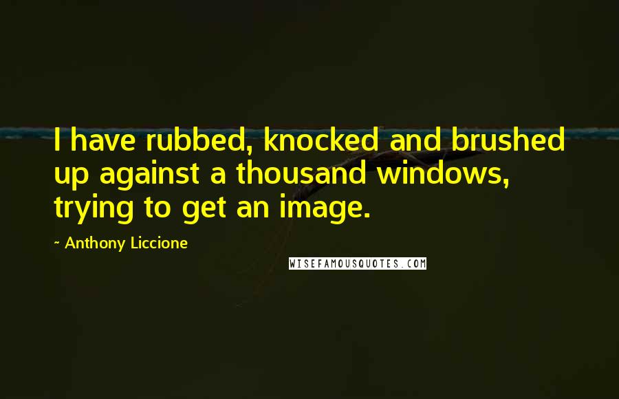 Anthony Liccione Quotes: I have rubbed, knocked and brushed up against a thousand windows, trying to get an image.