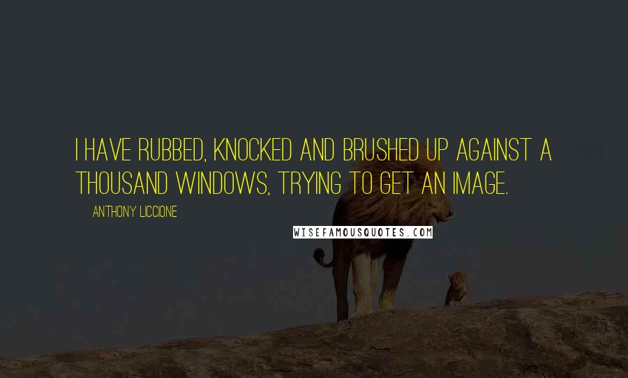 Anthony Liccione Quotes: I have rubbed, knocked and brushed up against a thousand windows, trying to get an image.