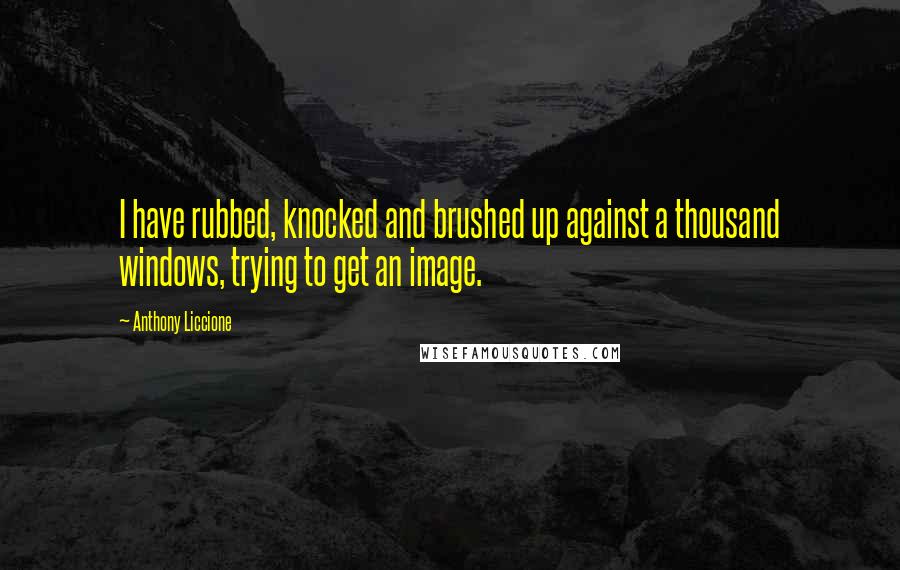 Anthony Liccione Quotes: I have rubbed, knocked and brushed up against a thousand windows, trying to get an image.