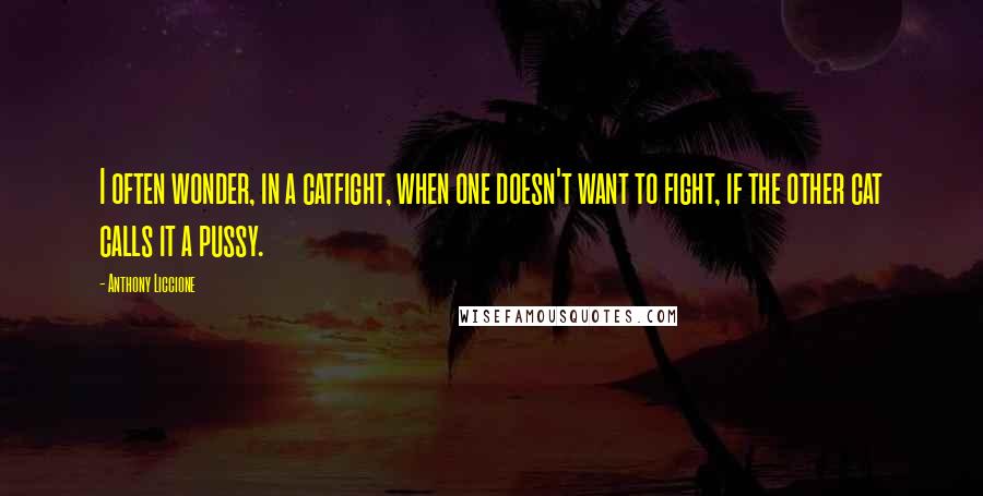 Anthony Liccione Quotes: I often wonder, in a catfight, when one doesn't want to fight, if the other cat calls it a pussy.