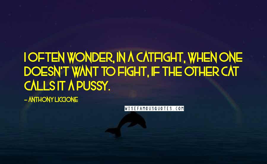 Anthony Liccione Quotes: I often wonder, in a catfight, when one doesn't want to fight, if the other cat calls it a pussy.