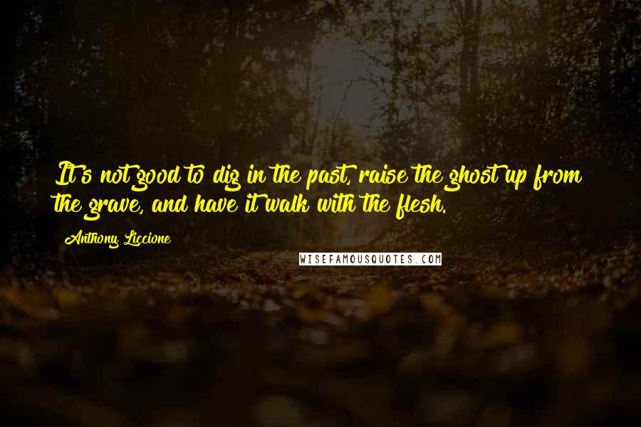 Anthony Liccione Quotes: It's not good to dig in the past, raise the ghost up from the grave, and have it walk with the flesh.