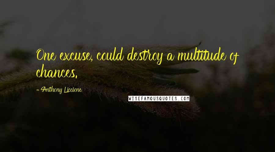 Anthony Liccione Quotes: One excuse, could destroy a multitude of chances.