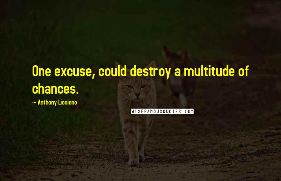 Anthony Liccione Quotes: One excuse, could destroy a multitude of chances.