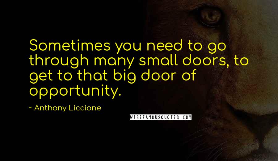 Anthony Liccione Quotes: Sometimes you need to go through many small doors, to get to that big door of opportunity.