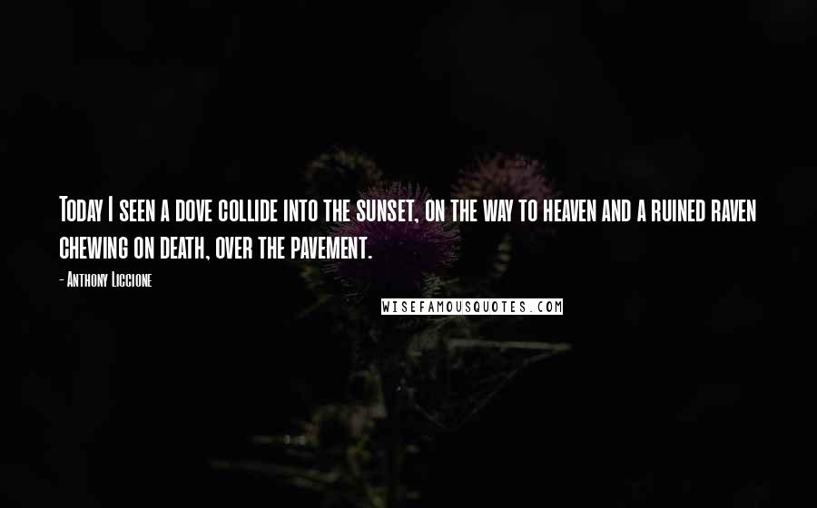 Anthony Liccione Quotes: Today I seen a dove collide into the sunset, on the way to heaven and a ruined raven chewing on death, over the pavement.