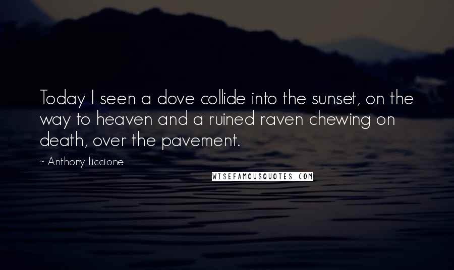 Anthony Liccione Quotes: Today I seen a dove collide into the sunset, on the way to heaven and a ruined raven chewing on death, over the pavement.