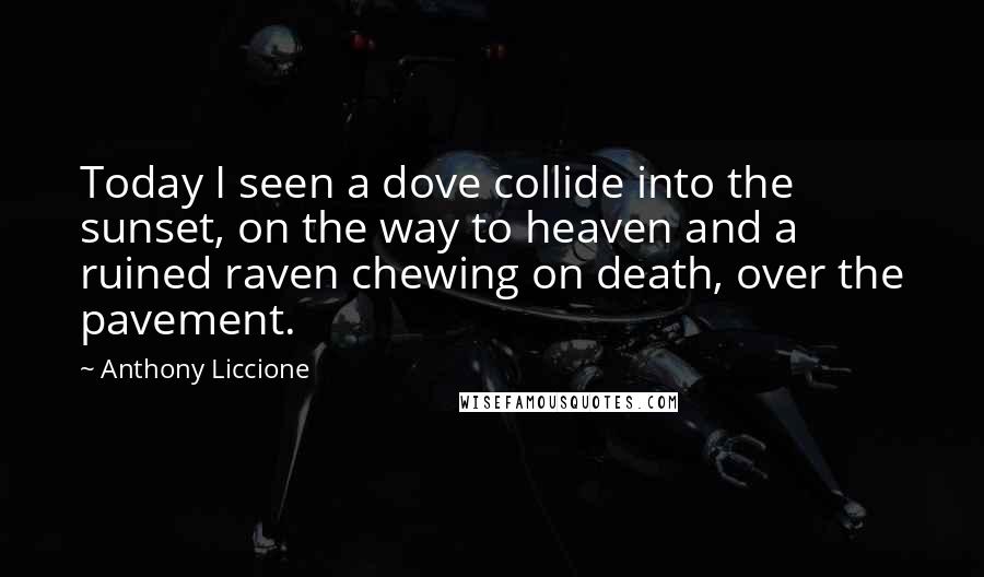 Anthony Liccione Quotes: Today I seen a dove collide into the sunset, on the way to heaven and a ruined raven chewing on death, over the pavement.