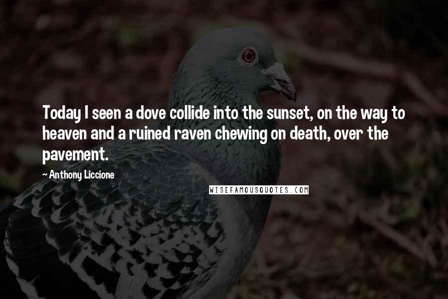 Anthony Liccione Quotes: Today I seen a dove collide into the sunset, on the way to heaven and a ruined raven chewing on death, over the pavement.