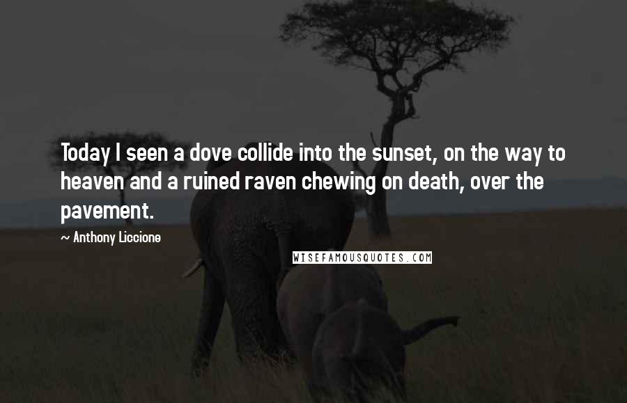 Anthony Liccione Quotes: Today I seen a dove collide into the sunset, on the way to heaven and a ruined raven chewing on death, over the pavement.