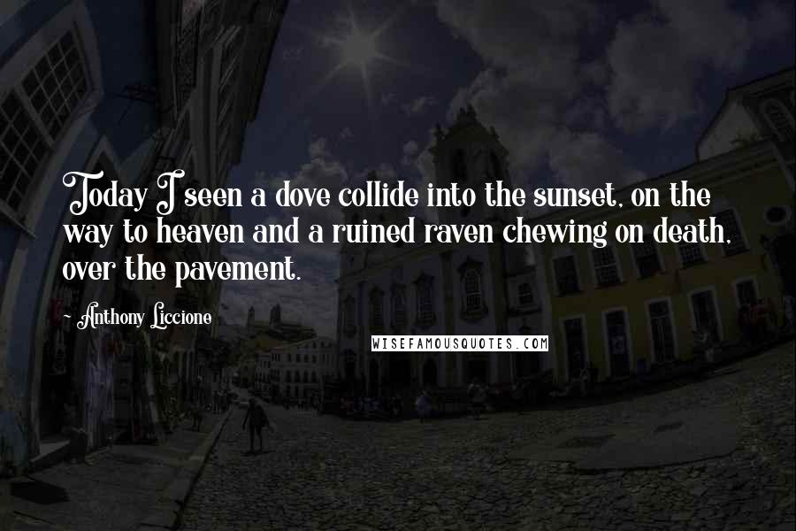 Anthony Liccione Quotes: Today I seen a dove collide into the sunset, on the way to heaven and a ruined raven chewing on death, over the pavement.