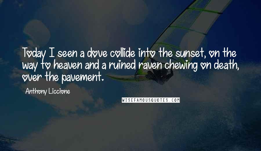 Anthony Liccione Quotes: Today I seen a dove collide into the sunset, on the way to heaven and a ruined raven chewing on death, over the pavement.