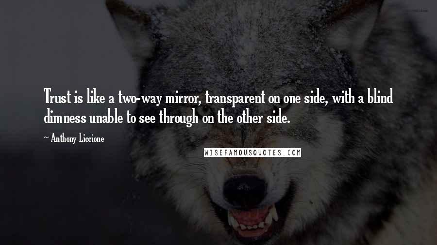 Anthony Liccione Quotes: Trust is like a two-way mirror, transparent on one side, with a blind dimness unable to see through on the other side.