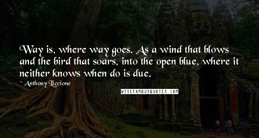 Anthony Liccione Quotes: Way is, where way goes. As a wind that blows and the bird that soars, into the open blue, where it neither knows when do is due.